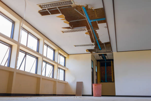 Best Ceiling water damage repair  in Sturtevant, WI