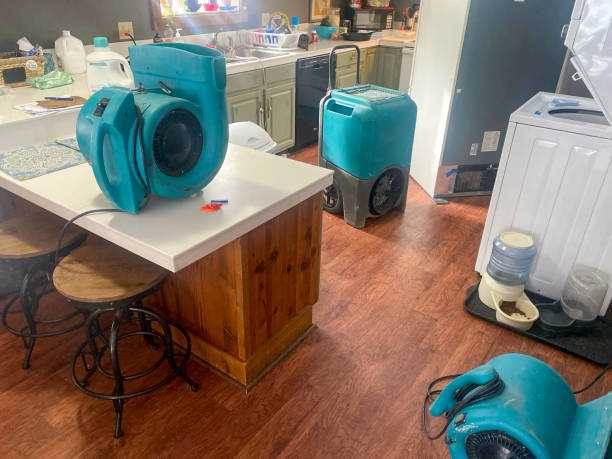 Best Water damage contractors near me  in Sturtevant, WI