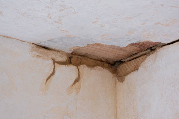 Best Basement water damage restoration  in Sturtevant, WI