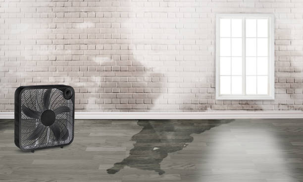 Trusted Sturtevant, WI Water damage restoration Experts