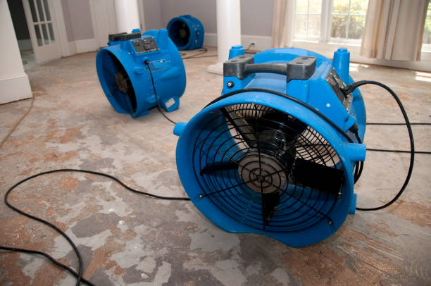 Best Emergency water damage restoration  in Sturtevant, WI