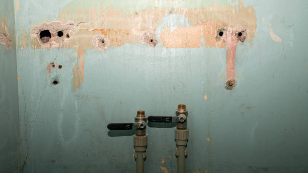 Best Local water damage restoration  in Sturtevant, WI