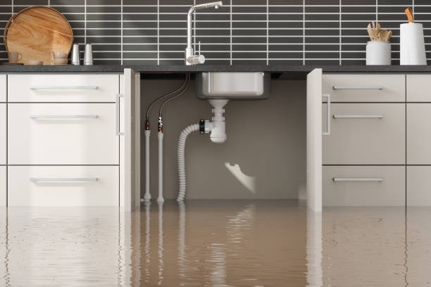 Best Carpet water damage restoration  in Sturtevant, WI
