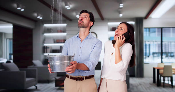 Best Ceiling water damage repair  in Sturtevant, WI