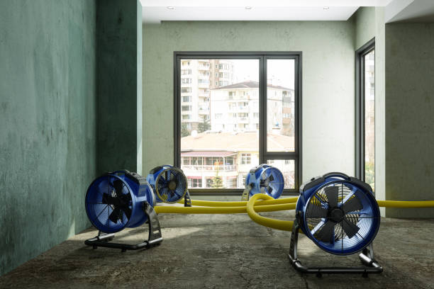 Best Professional water damage repair  in Sturtevant, WI