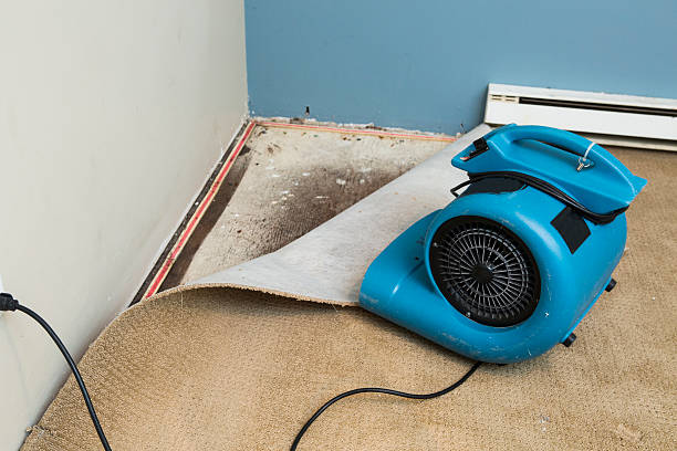 Best Flooded house restoration  in Sturtevant, WI